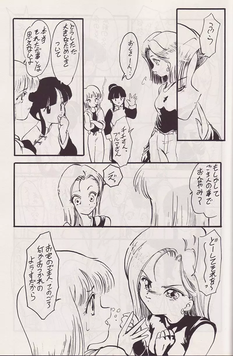 P-ARK - page18