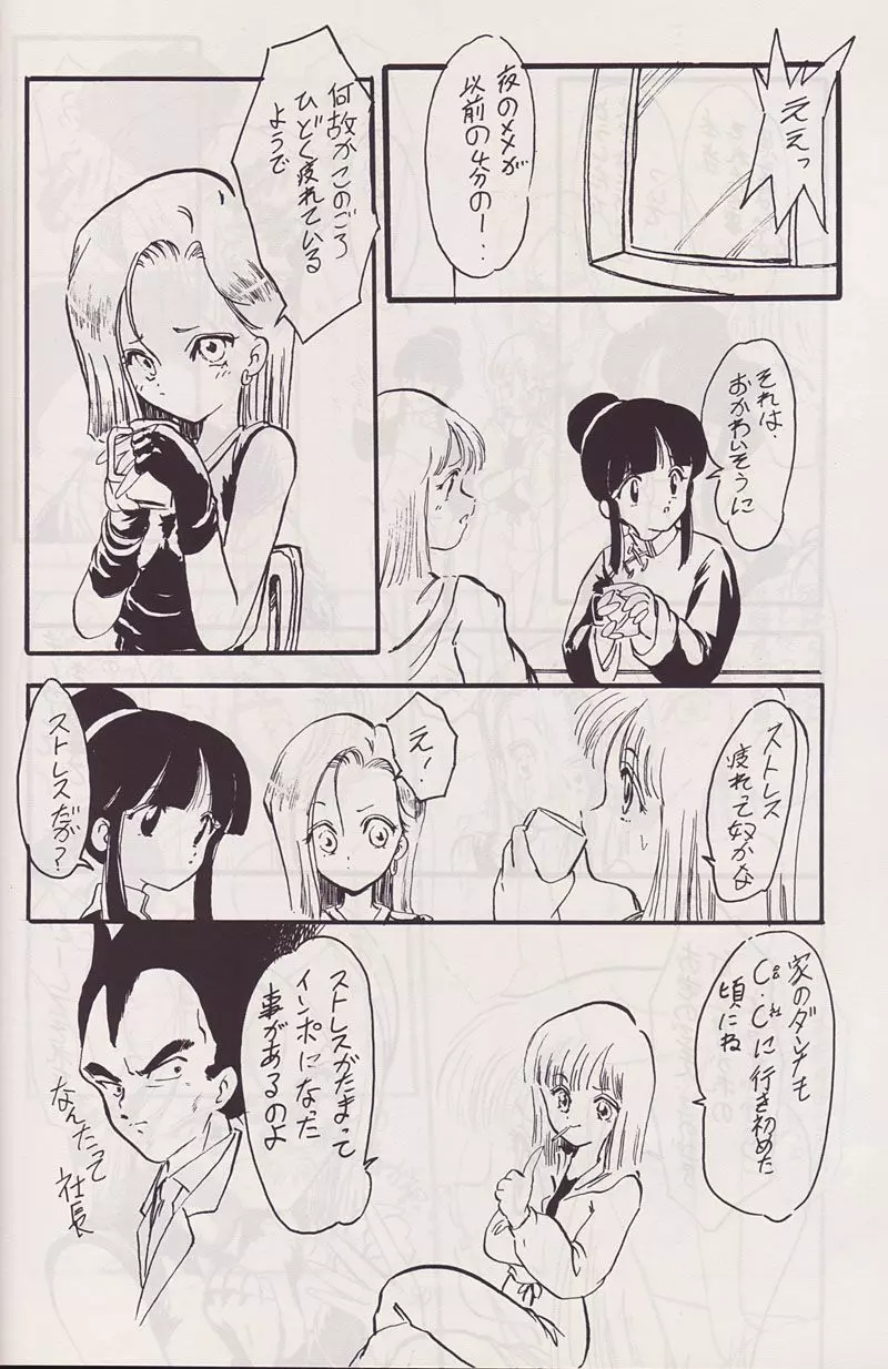P-ARK - page19