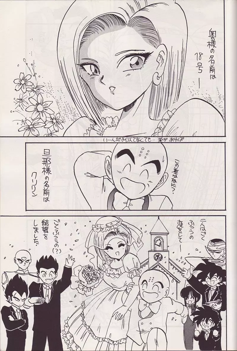 P-ARK - page2