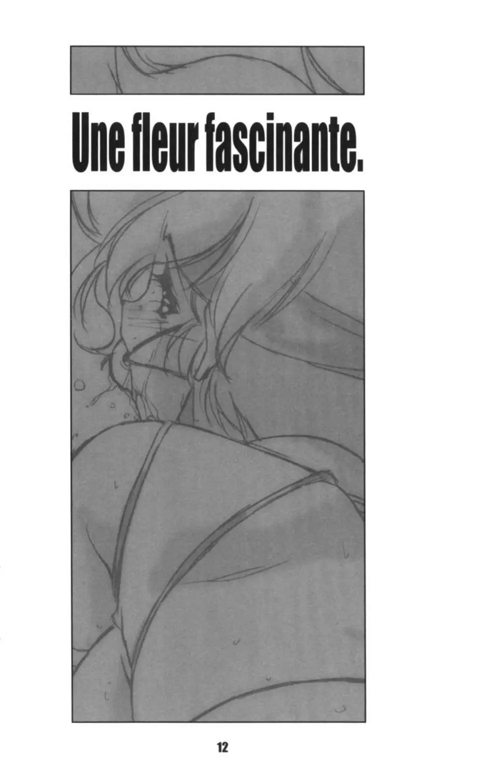 WORKS Vol.54 Une fleur fascinante. Revision. - page12