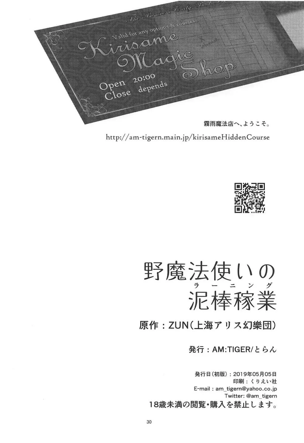 野魔法使いの泥棒稼業 - page29