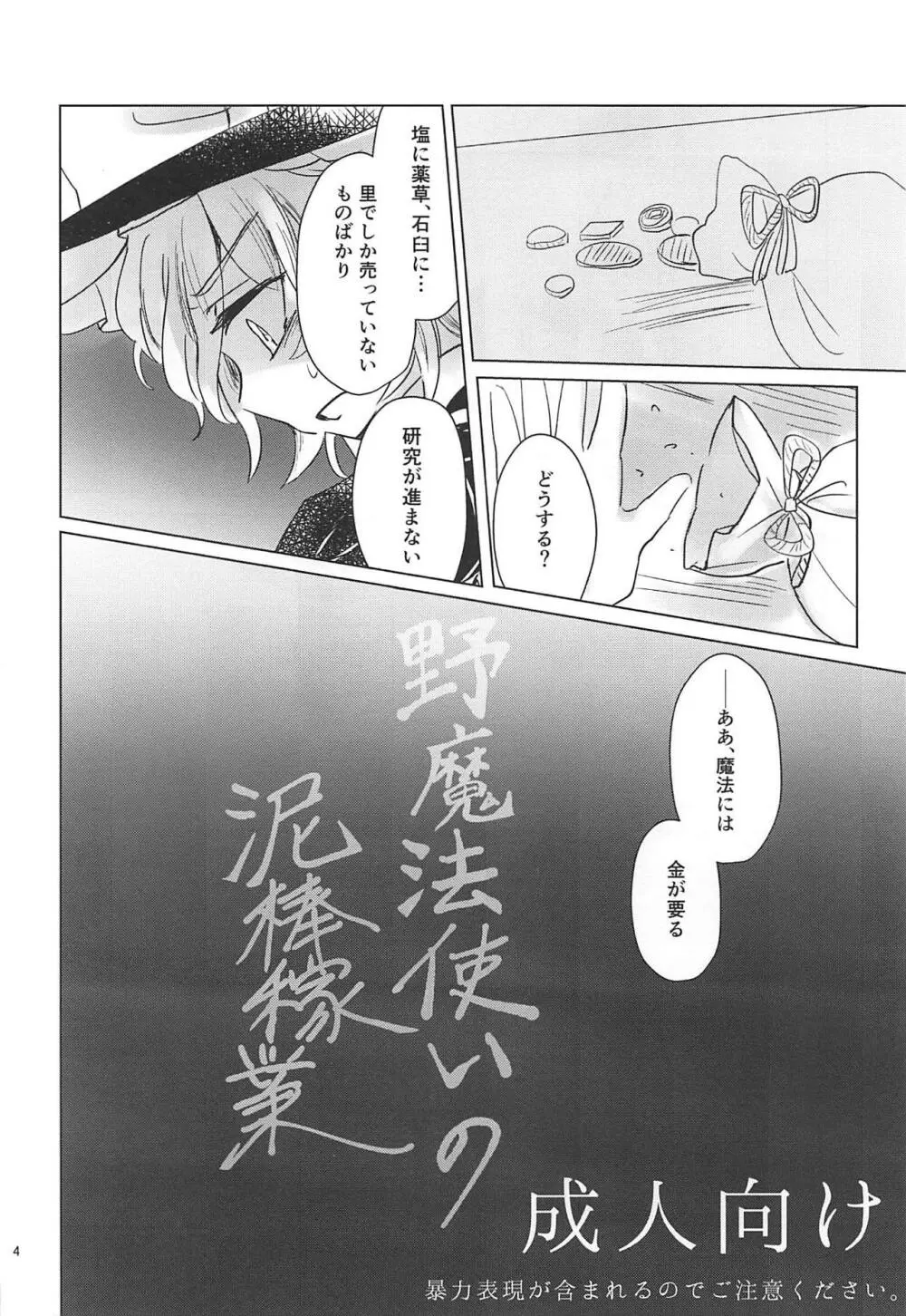 野魔法使いの泥棒稼業 - page3