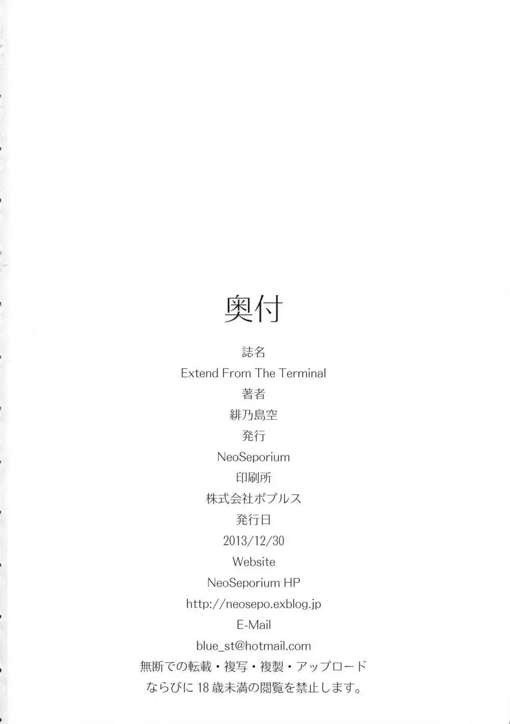 Extend From The Terminal - page28
