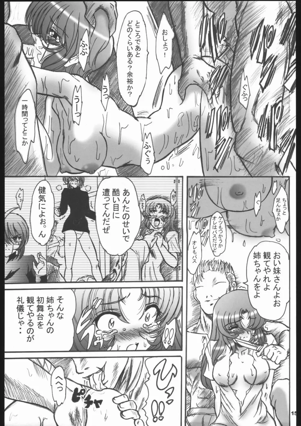 SREX - page14