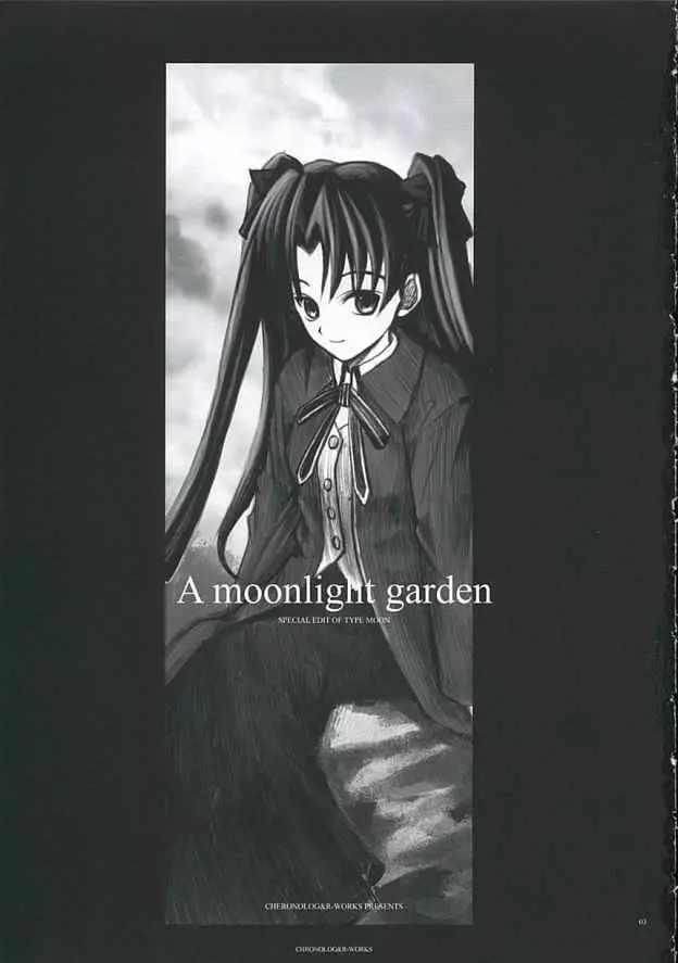 A moonlit garden - page2