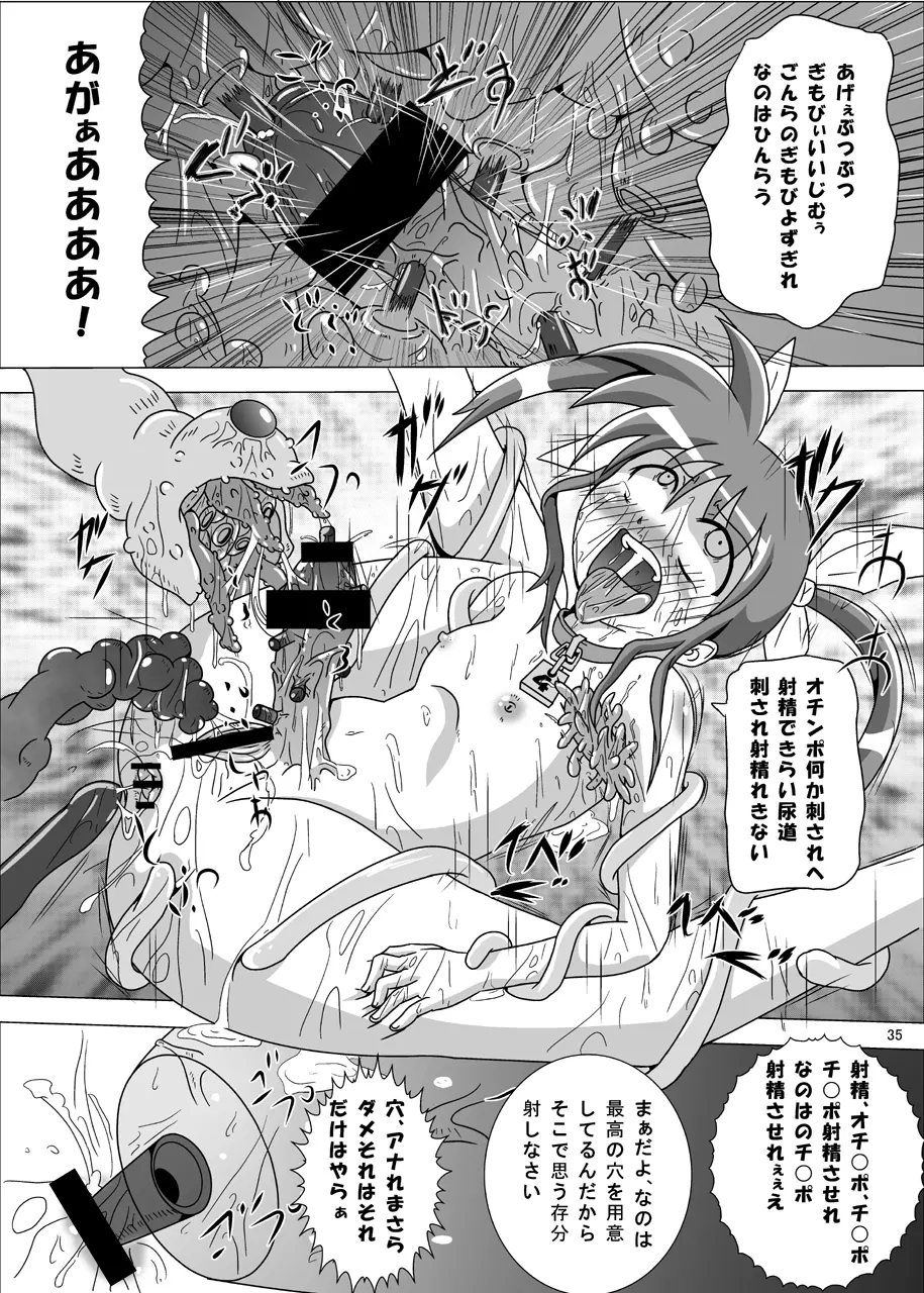 紅の書 ～フェ○ト編～ - page36