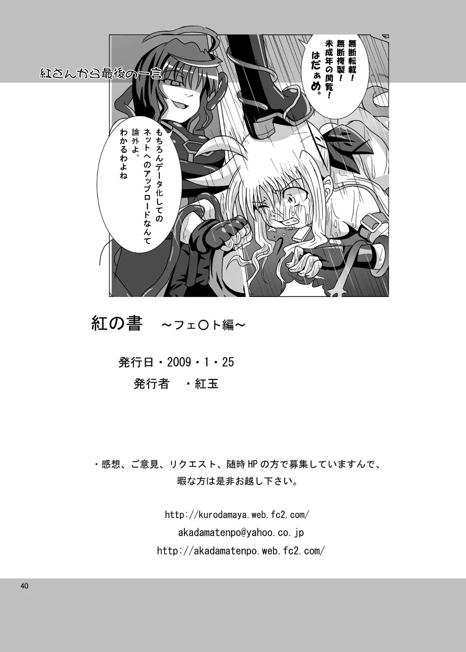 紅の書 ～フェ○ト編～ - page41