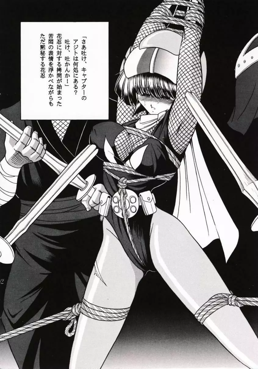 花忍武芸帳 - page11