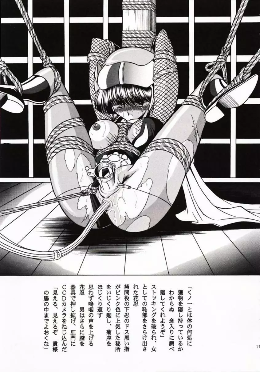 花忍武芸帳 - page16