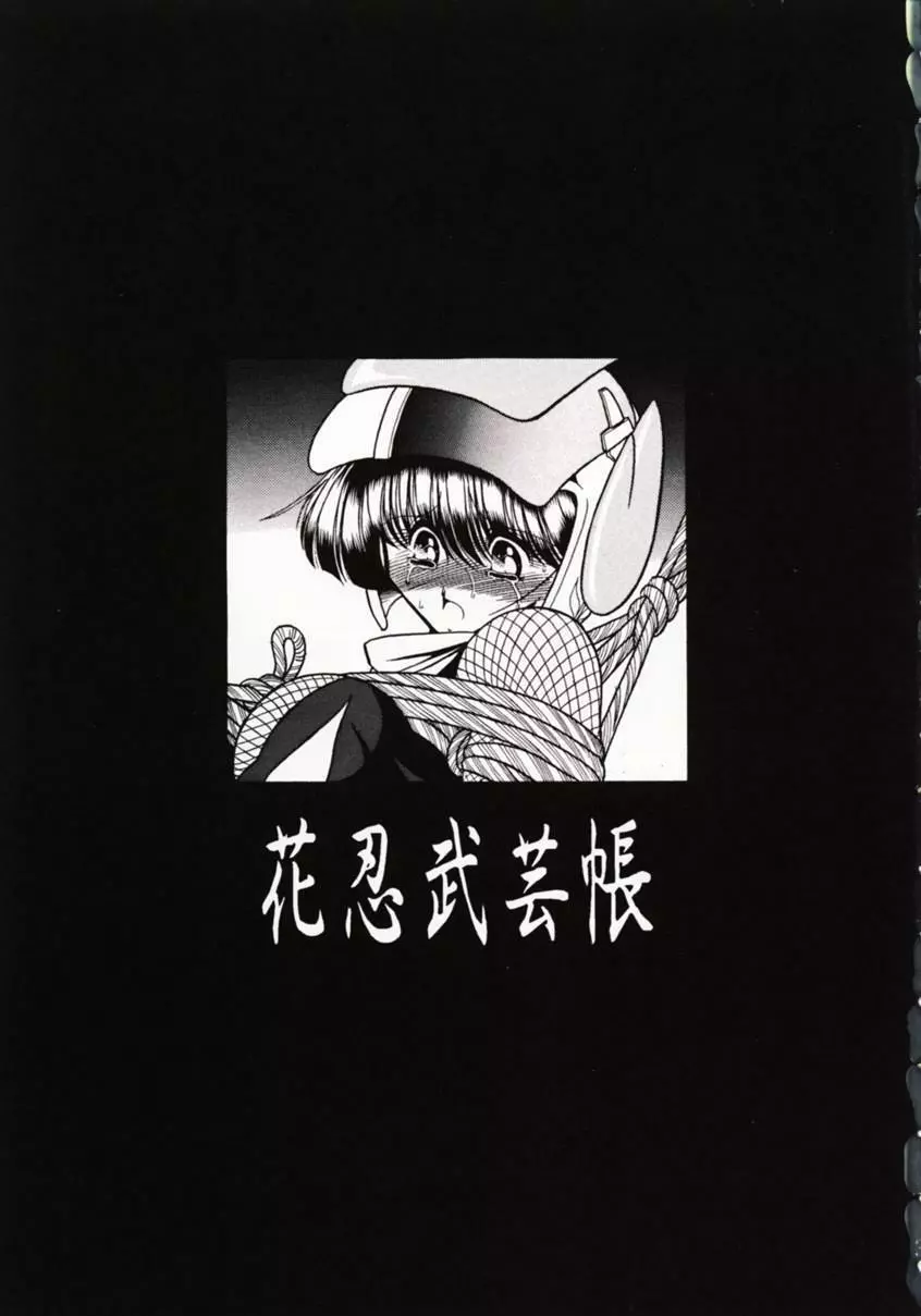 花忍武芸帳 - page2