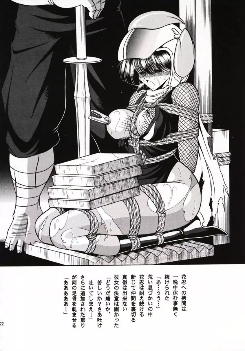 花忍武芸帳 - page21