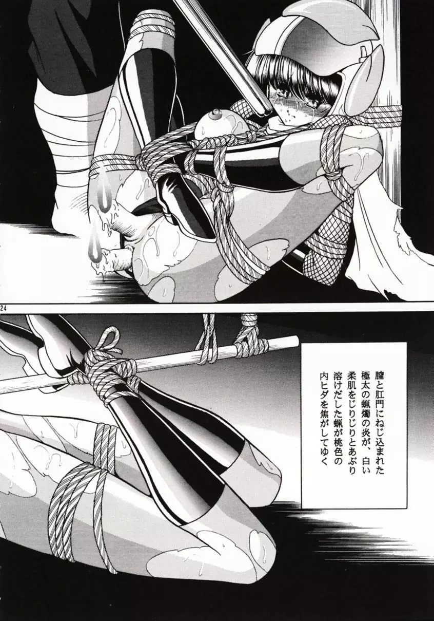 花忍武芸帳 - page23