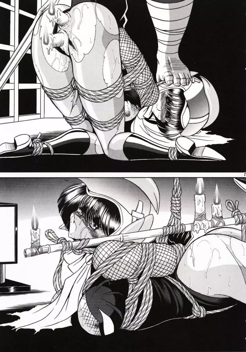 花忍武芸帳 - page24