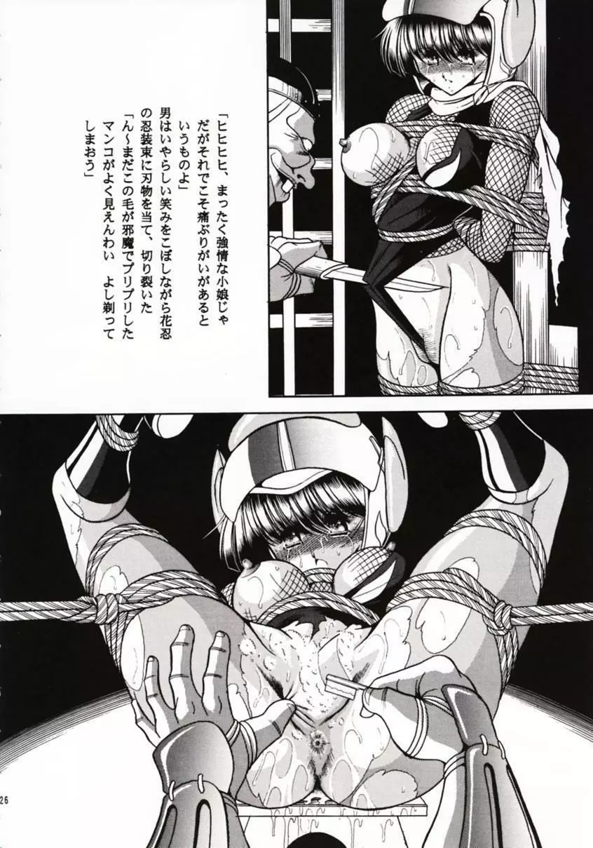 花忍武芸帳 - page25