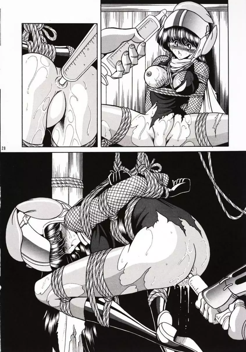 花忍武芸帳 - page27