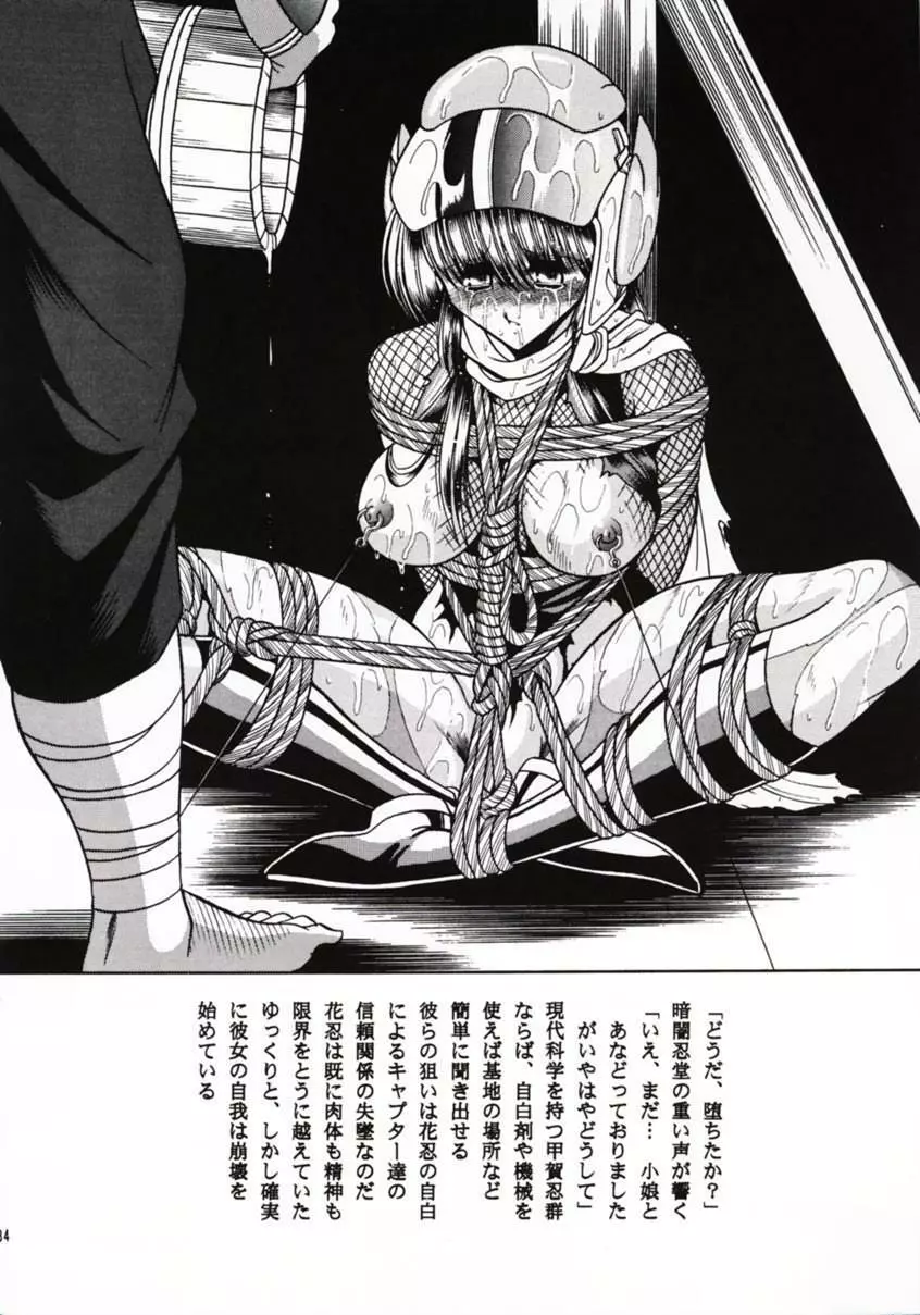 花忍武芸帳 - page33