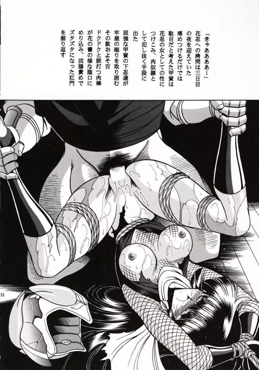 花忍武芸帳 - page35