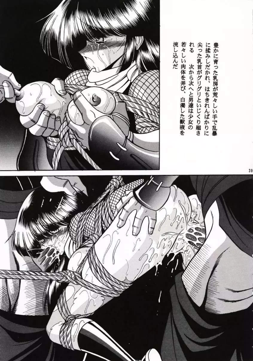 花忍武芸帳 - page38