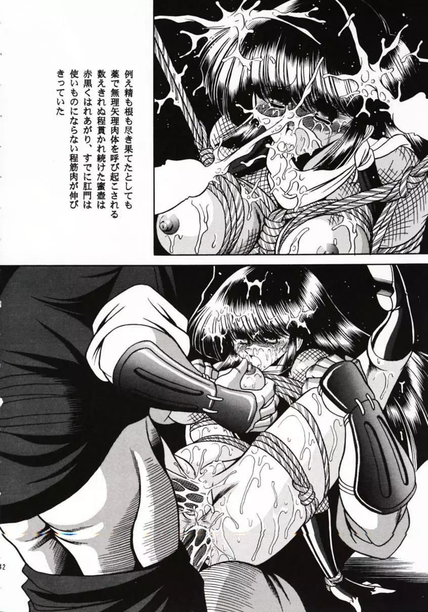 花忍武芸帳 - page41