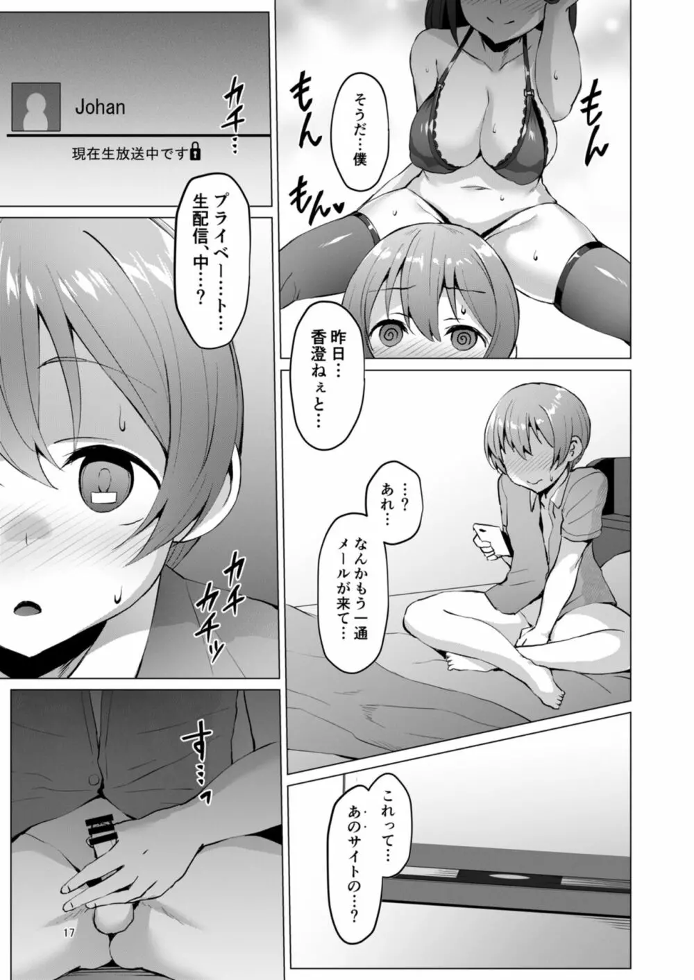 ネトシス~春野香澄~ - page17