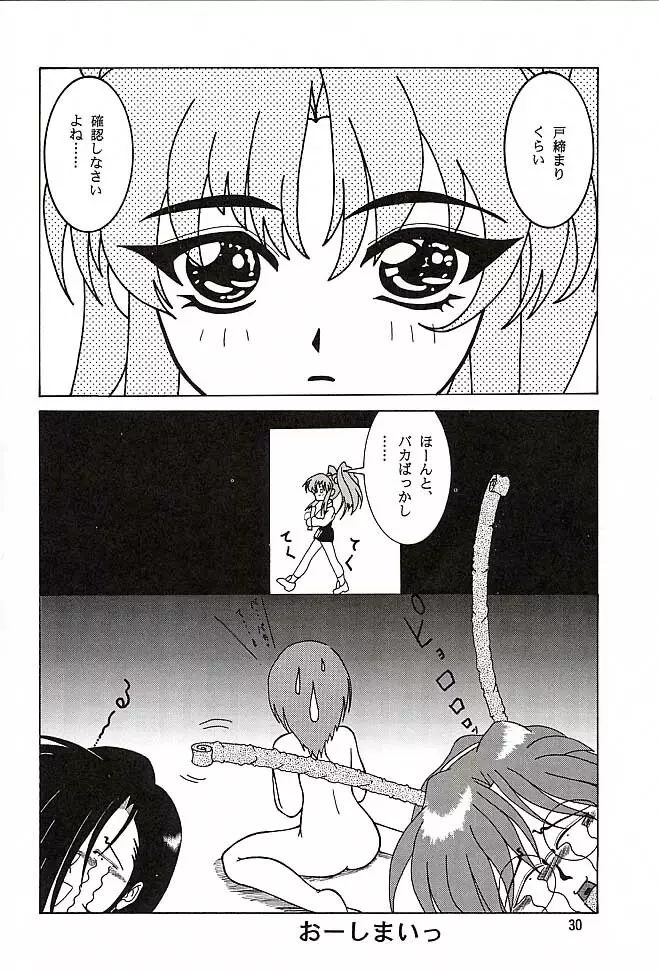 Potato Masher 10 - page29