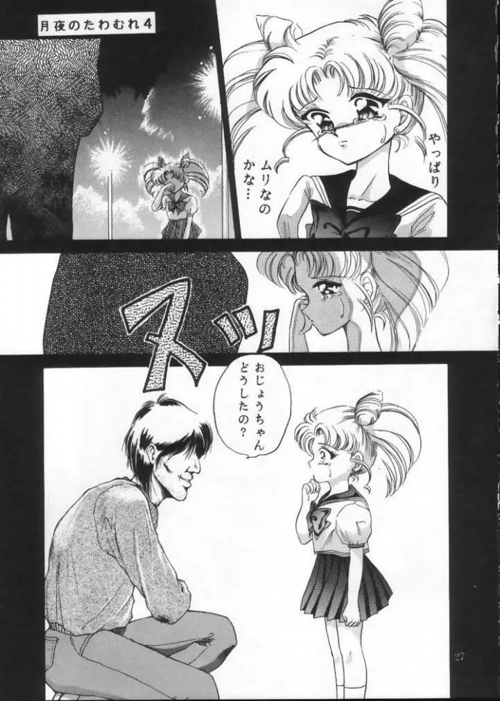 月夜のたわむれ Vol.4 - page25