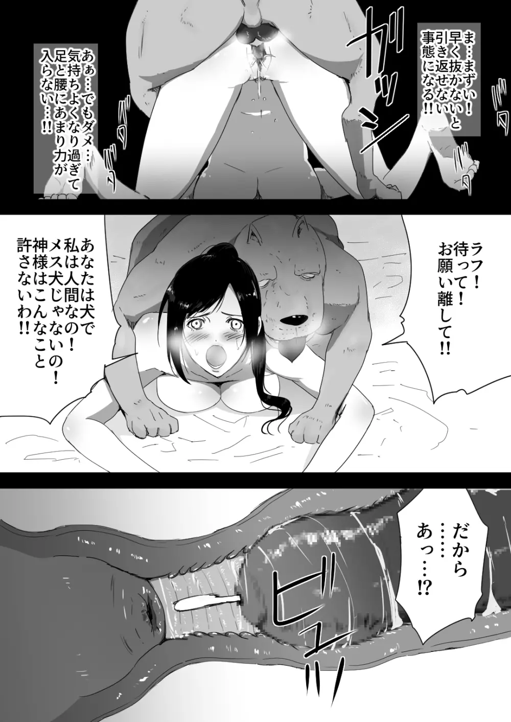 我が家にペットがやってきた - page31
