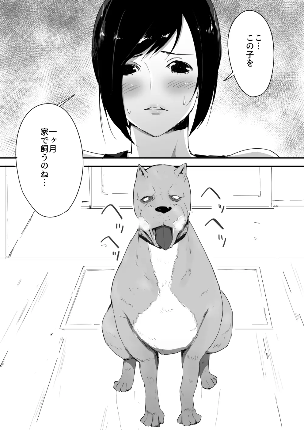 我が家にペットがやってきた - page4