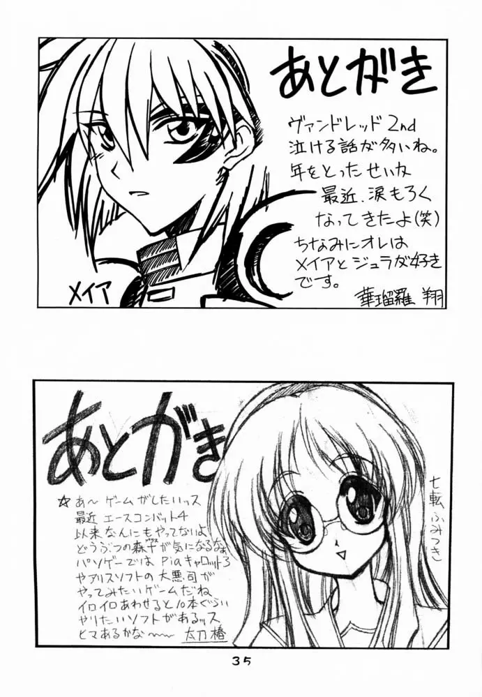 type-G GMS - page34