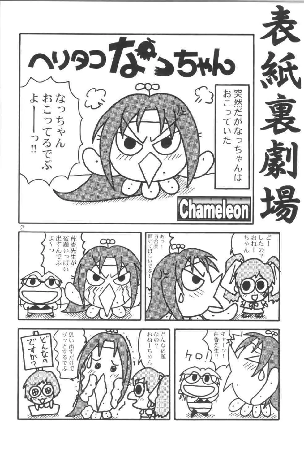 WILD P7 - page2