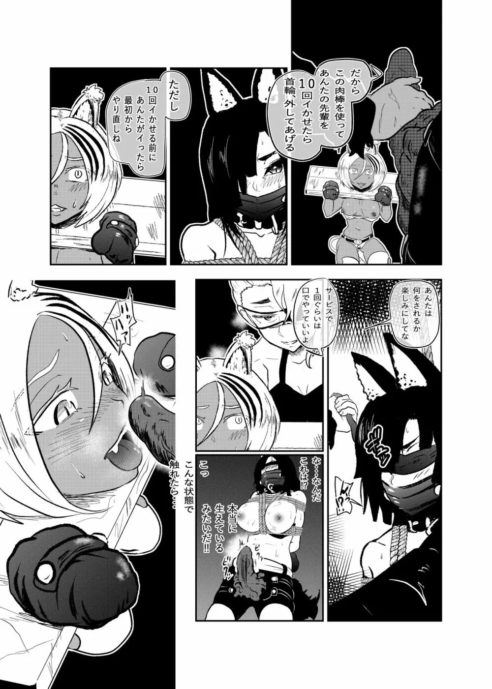 ヴァンパレイド8 ～白猫 黒狼 拘束編～ - page13