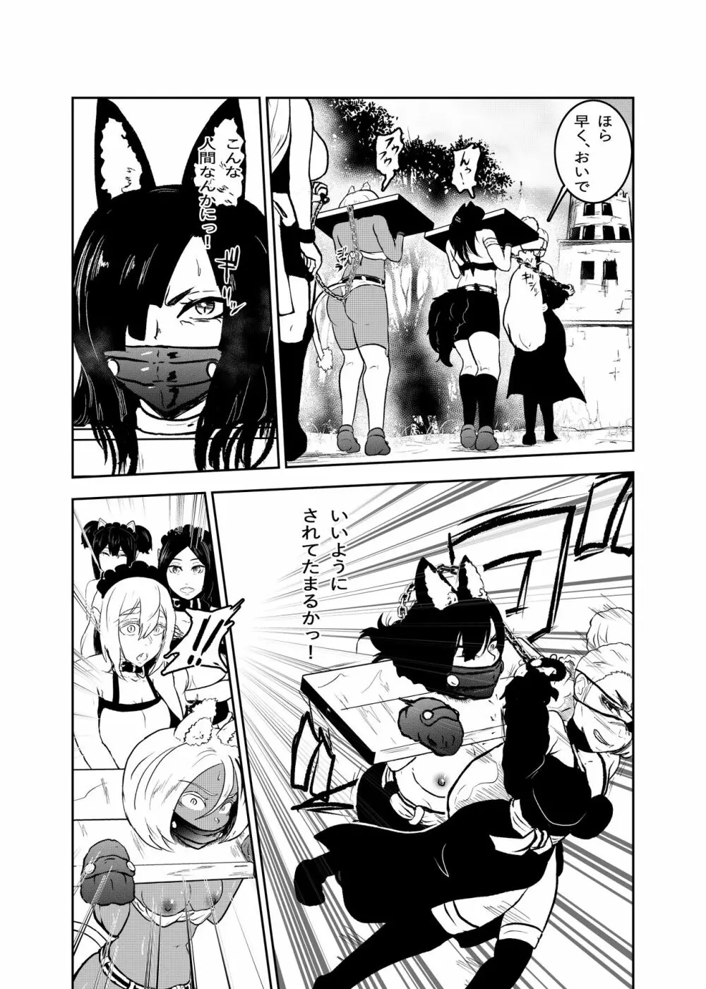 ヴァンパレイド8 ～白猫 黒狼 拘束編～ - page4