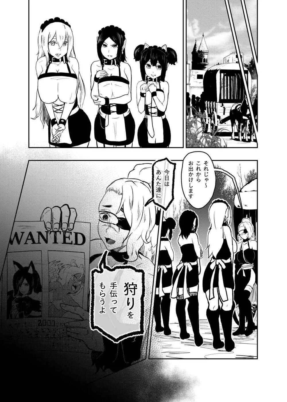 ヴァンパレイド6 ～吸血鬼 三姉妹 捕縛編～ - page21