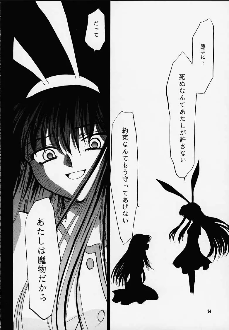 かのにずむ・MAX - page33