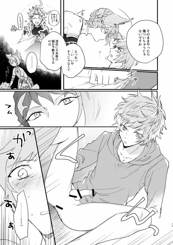 アドアステラ・インサニア - page11