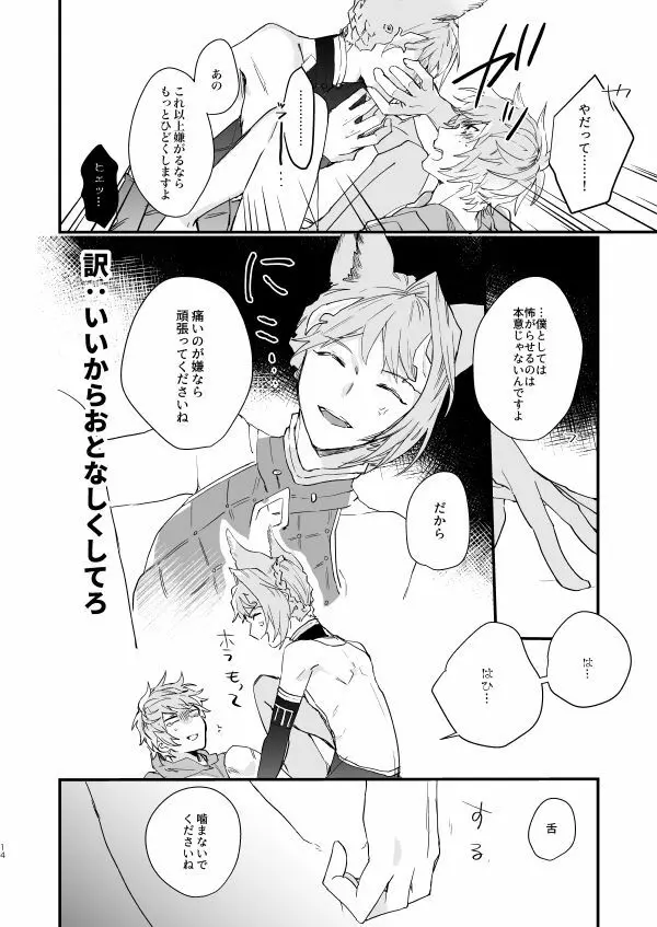 アドアステラ・インサニア - page12