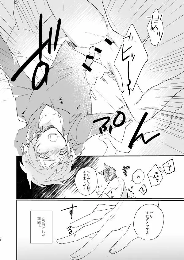 アドアステラ・インサニア - page16
