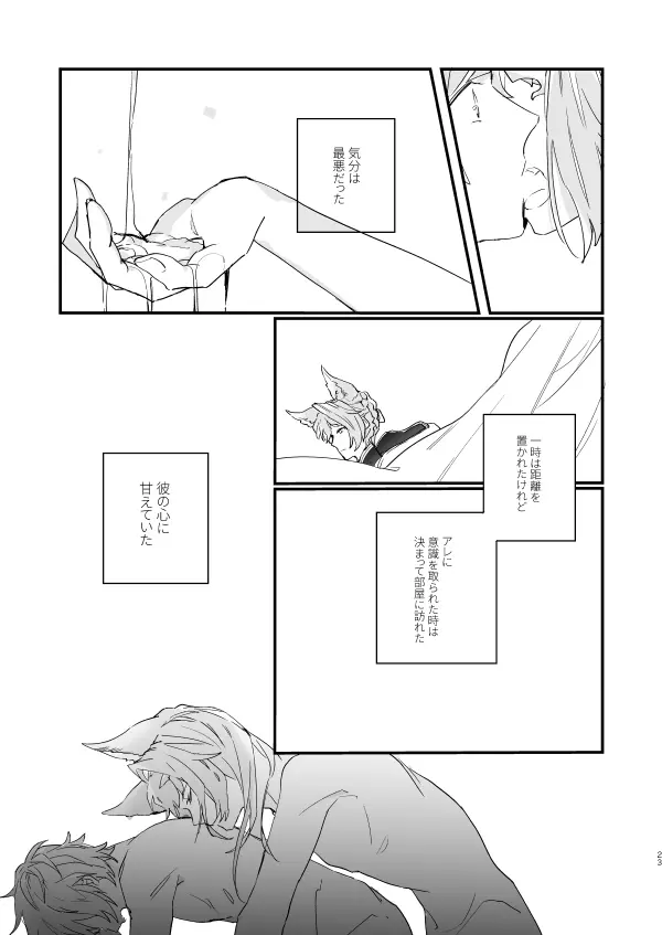アドアステラ・インサニア - page21