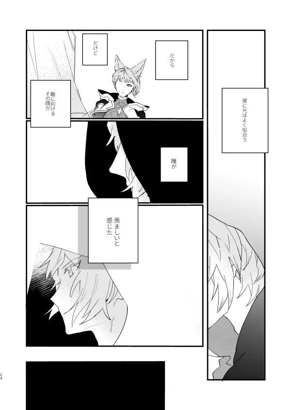 アドアステラ・インサニア - page22