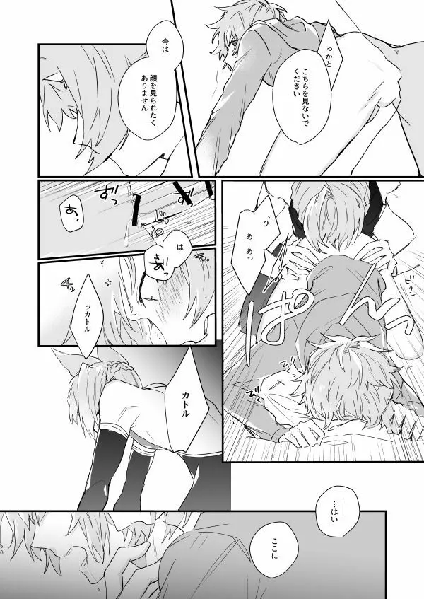 アドアステラ・インサニア - page24