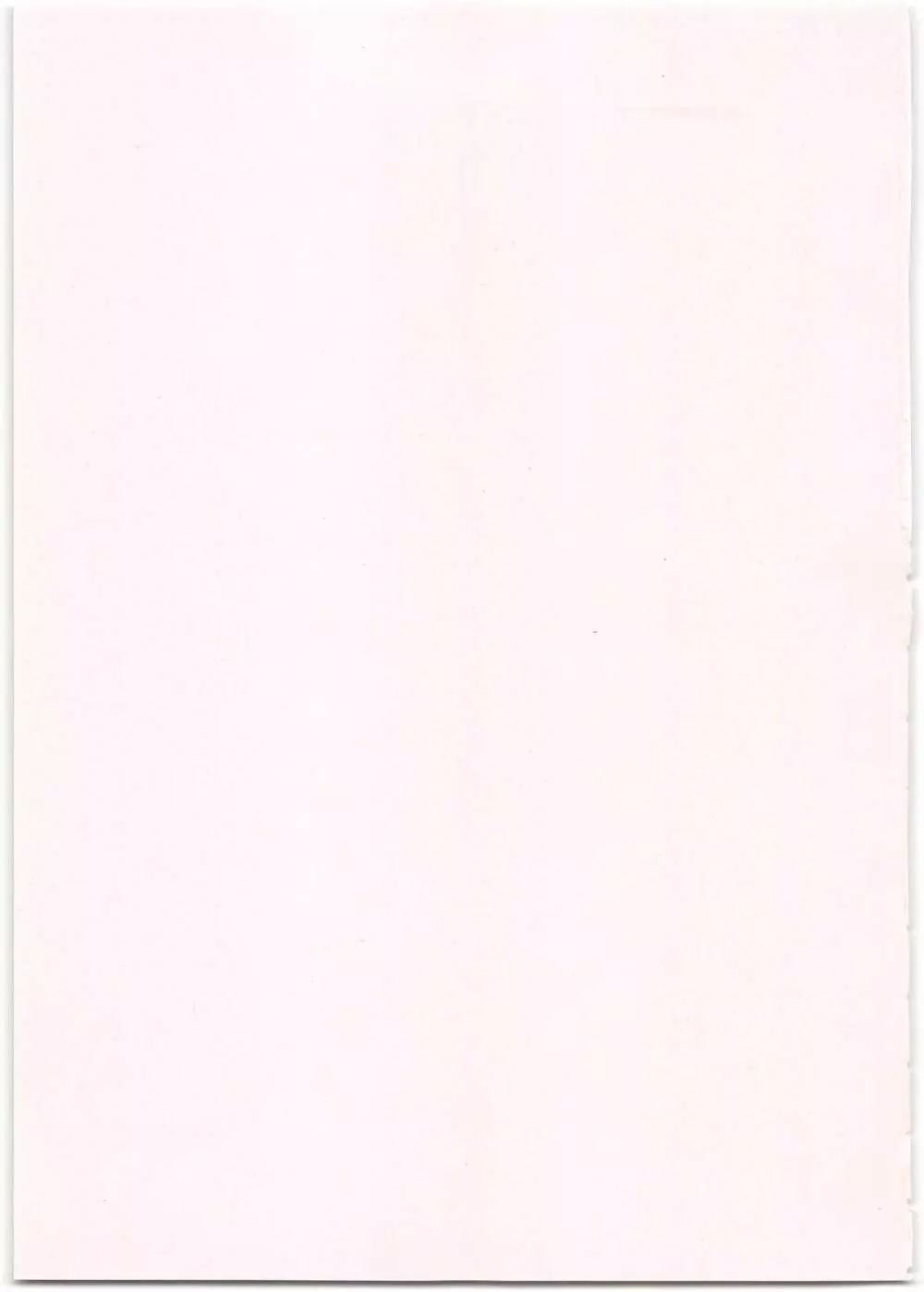 やんちゃ娘のしつけ方 - page3