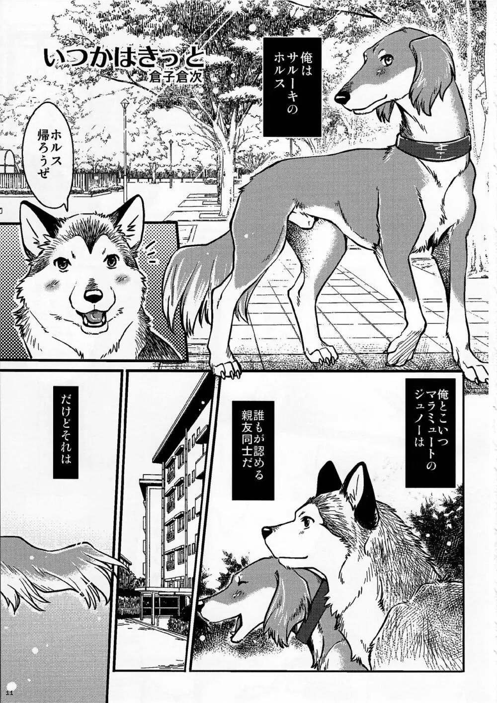 KTQ9 - page11