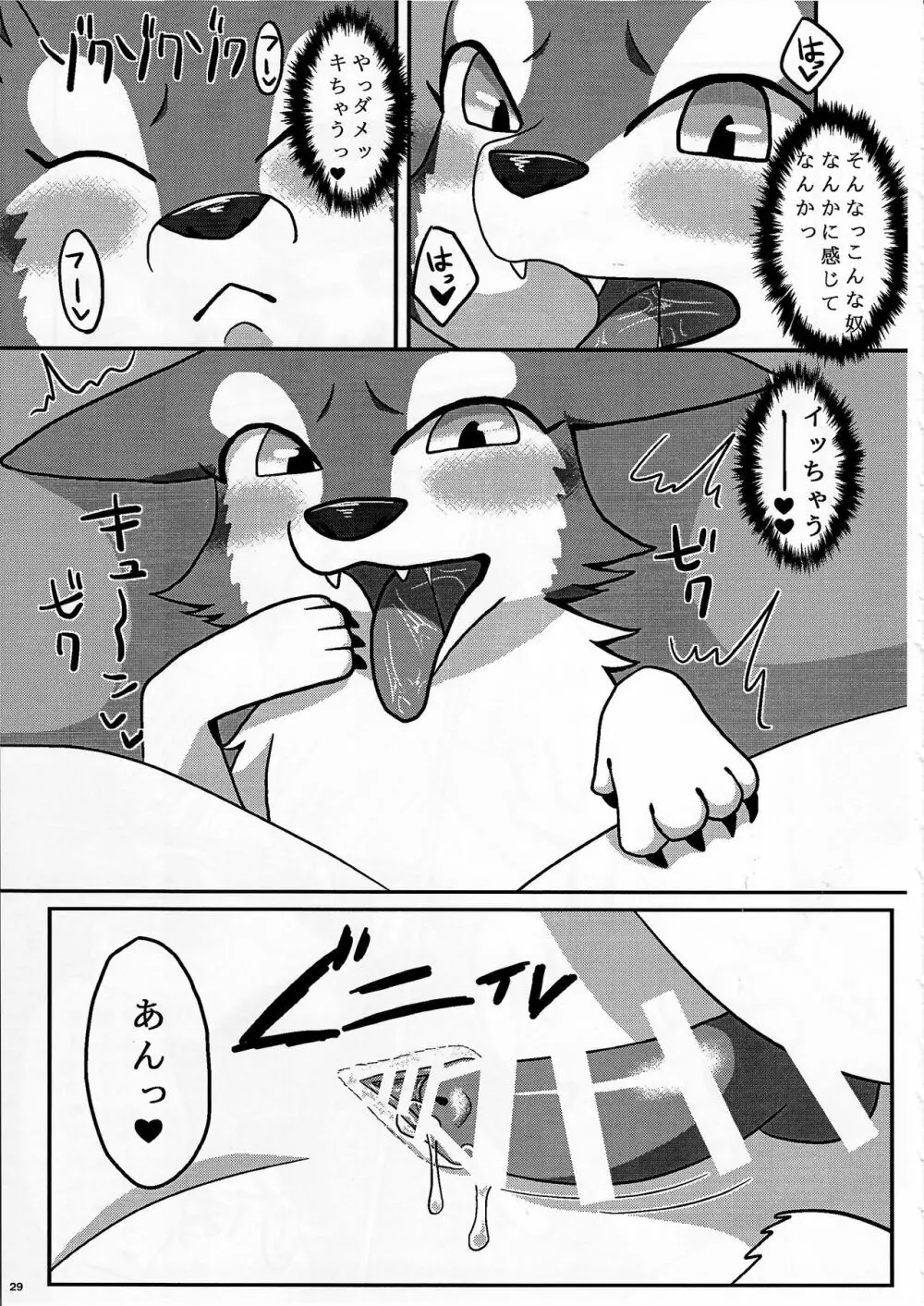 KTQ9 - page29