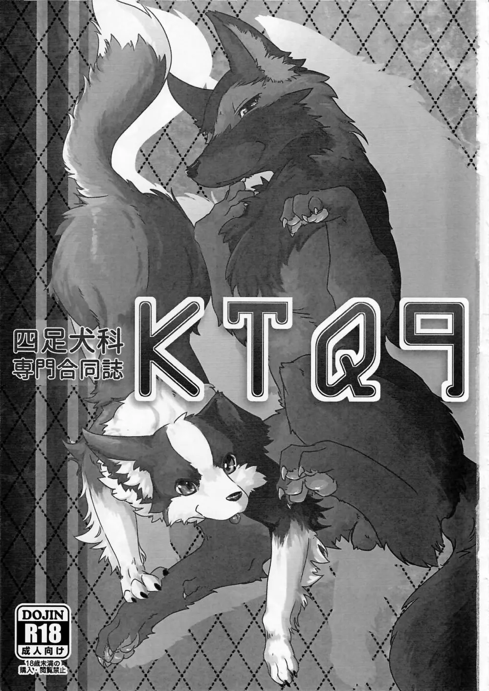 KTQ9 - page3