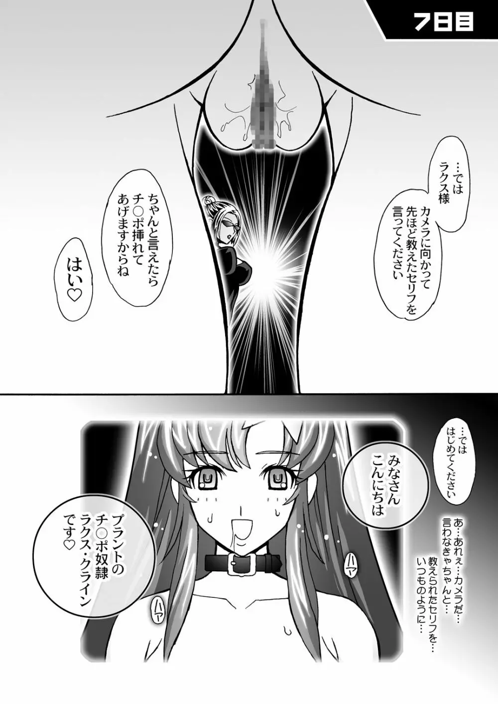 HIGH MEER DL - page25