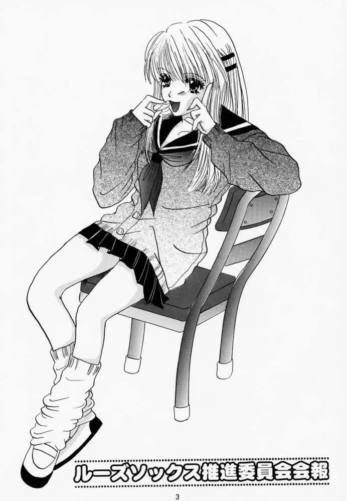 ルーズソックス推進委員会会報 - page2