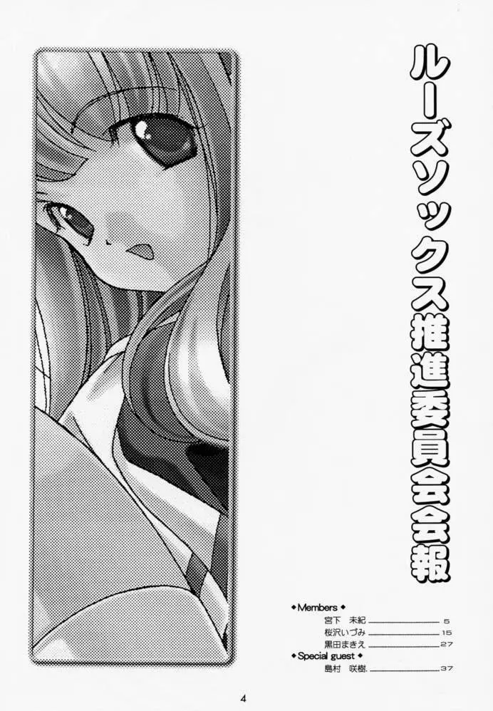 ルーズソックス推進委員会会報 - page3