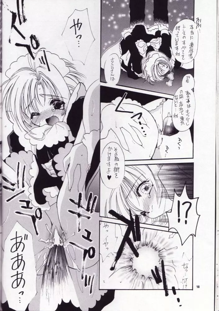 さくらのはずかしい本だもん - page17