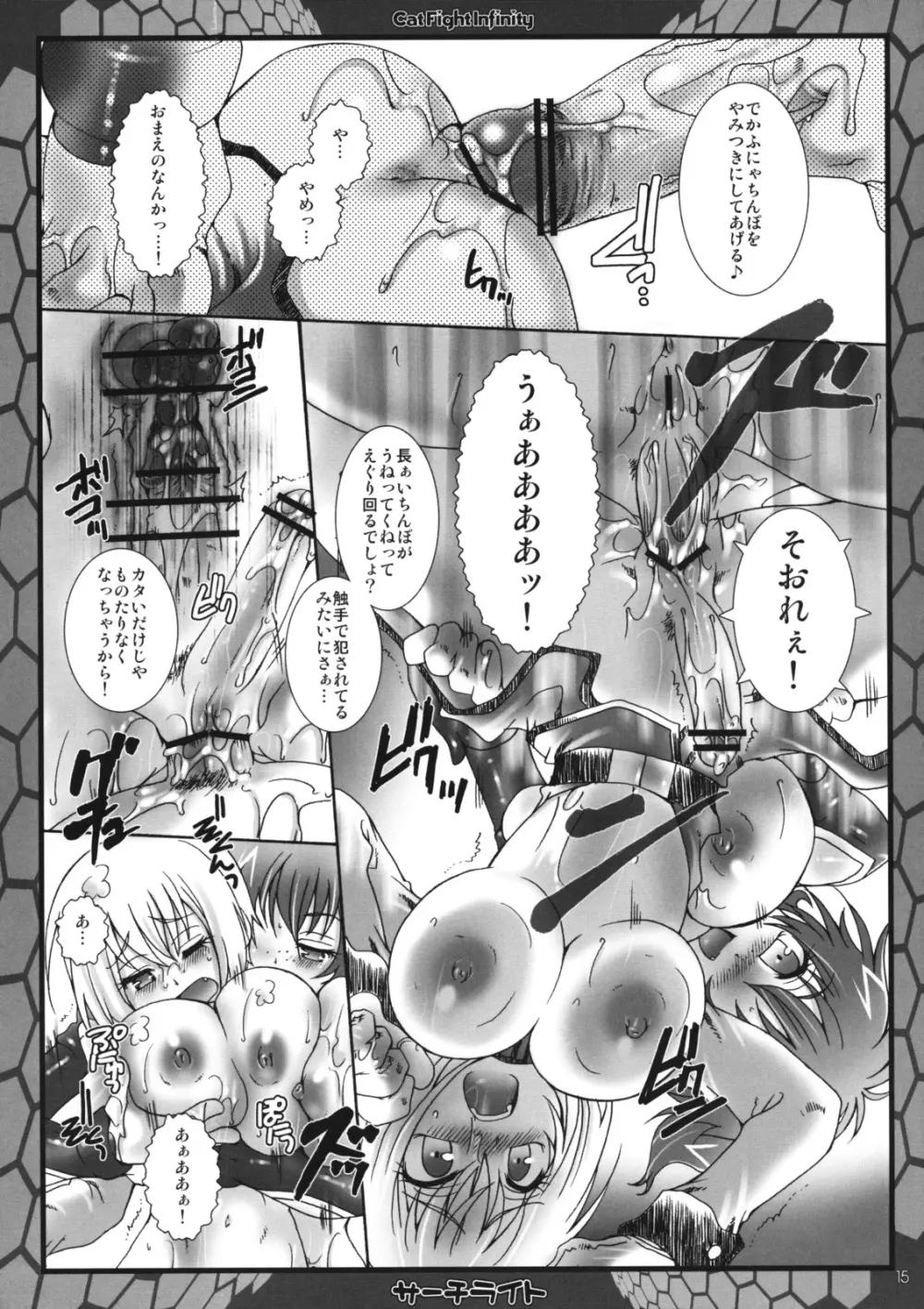 キャットファイトインフィニティ - page14