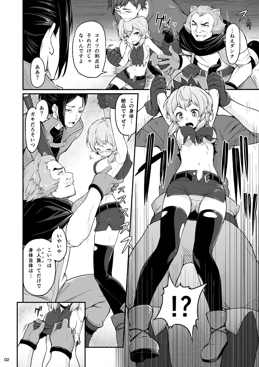 パルゥムの特別な使い方 - page3